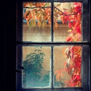 Meet your Posher, Bridget